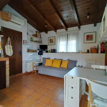 El Cielo De Pajaritas Pasarón