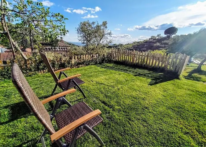 El Cielo De Pajaritas * Pasarón