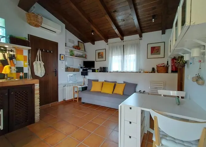 El Cielo De Pajaritas Pasarón